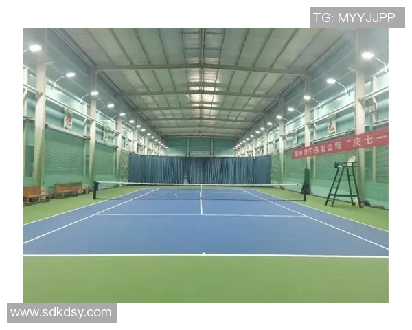 网球场地设计与布局对比赛表现和观众体验的影响分析