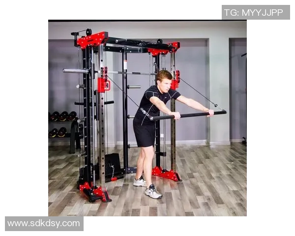 飞鸟健身器材:飞鸟训练器材的特点与肌群针对性讲解 飞鸟健身器材:飞鸟训练器材的特点与肌群针对性讲解