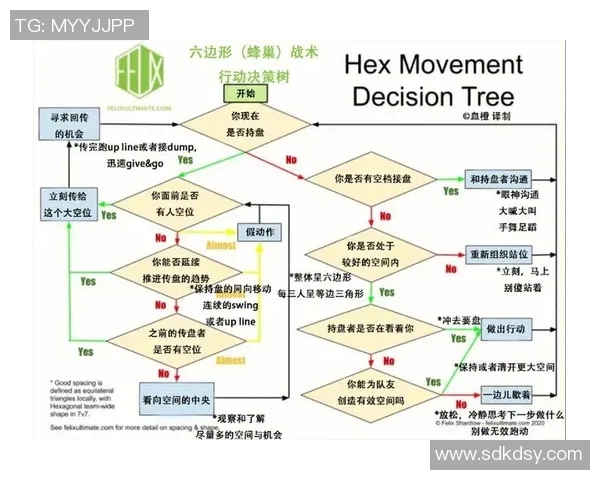 北京飞盘队阵地战分析：战术得失与未来发展方向探讨