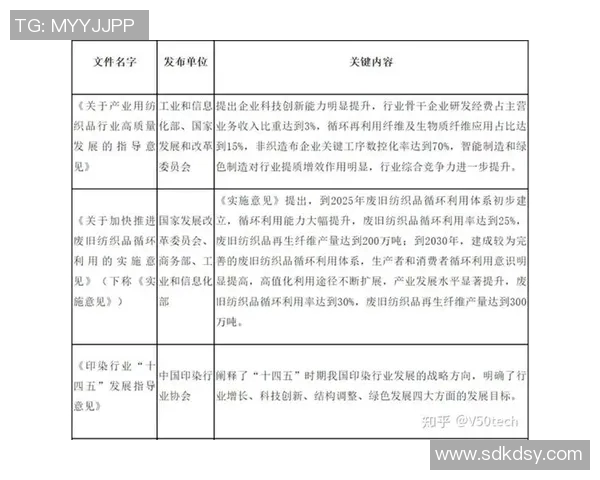 上海排球队实力解析：赛季表现与未来展望的深度点评